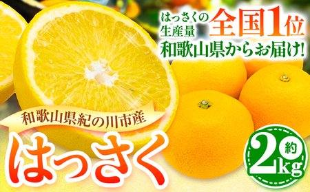 【先行予約】八朔 はっさく 約2kg 岸武青果株式会社《2025年4月上旬-6月下旬頃出荷》 和歌山県 紀の川市 はっさく 八朔 果物 フルーツ 柑橘 2kg 送料無料