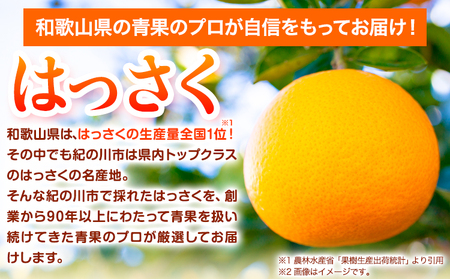 【先行予約】八朔 はっさく 約2kg 岸武青果株式会社《2025年4月上旬-6月下旬頃出荷》 和歌山県 紀の川市 はっさく 八朔 果物 フルーツ 柑橘 2kg 送料無料