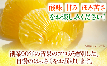 【先行予約】八朔 はっさく 約2kg 岸武青果株式会社《2025年4月上旬-6月下旬頃出荷》 和歌山県 紀の川市 はっさく 八朔 果物 フルーツ 柑橘 2kg 送料無料