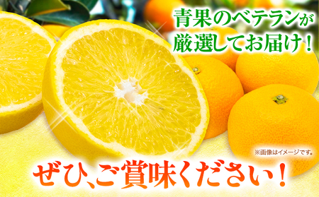 【先行予約】八朔 はっさく 約2kg 岸武青果株式会社《2025年4月上旬-6月下旬頃出荷》 和歌山県 紀の川市 はっさく 八朔 果物 フルーツ 柑橘 2kg 送料無料