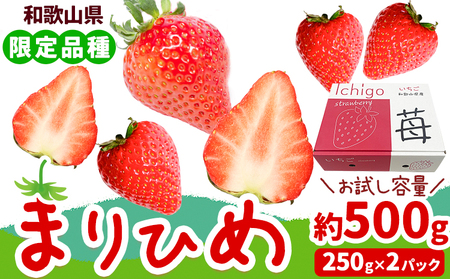 苺 いちご まりひめ【2026年先行予約】 約500g ( 250g × 2パック ) お試し パック 苺 イチゴ JAわかやま 紀の里地域本部《2026年2月中旬-3月末頃出荷荷》 和歌山県 紀の川市 青果物 果物 くだもの フルーツ スイーツ