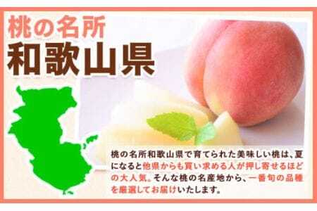 【2026年出荷分先行予約】甘くてジューシーな桃 和歌山県産 紀の里の桃 約2kg (6～8玉) 《2026年6月中旬-8月中旬頃出荷》 桃桃桃