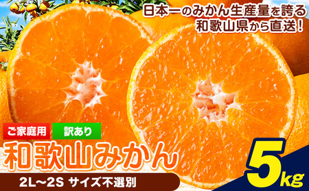 【先行予約】ご家庭用みかん 約5kg 和歌山県みかん