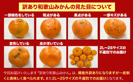 【先行予約】ご家庭用みかん 約5kg 和歌山県みかん