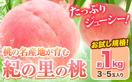 和歌山県産 紀の里の桃 約1kg (3-5玉)《2026年6月中旬-8月中旬頃出荷》 桃桃桃