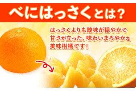 紅八朔（ポッポ） 5kg（3L～L）JAわかやま 紀の里地域本部《3月中旬-4月中旬頃出荷予定(土日祝除く)》和歌山県 岩出市 産地直送