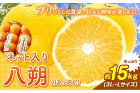 【贈答用】 和歌山県産 木成り八朔 5kg | 有田みかん 和歌直（わかちょく） 和歌山県産】八朔　3Lサイズ約9kg になります。