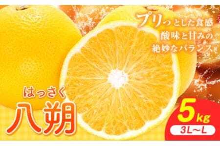 八朔 5kg（3L～L）JAわかやま 紀の里地域本部《1月上旬-4月中旬に出荷予定(土日祝除く)》和歌山県 岩出市 産地直送 みかん 八朔