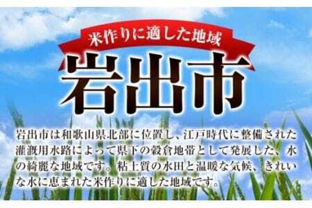 米 こめ 岩出市応援米 約10kg 《30日以内に出荷予定(土日祝除く)》 米米米