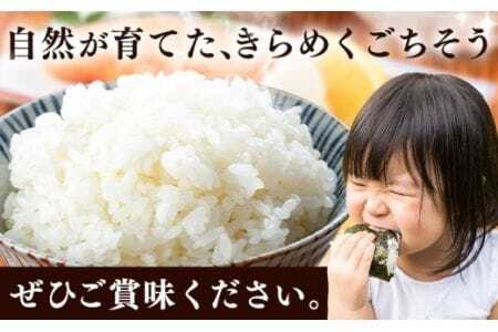 米 こめ 岩出市応援米 約10kg 《30日以内に出荷予定(土日祝除く)》 米米米