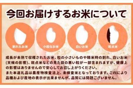 米 こめ 岩出市応援米 約10kg 《30日以内に出荷予定(土日祝除く)》 米米米
