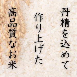 産地直送 米 こめ ご飯 ごはん  / 和歌山県産 キヌヒカリ 10kg(2024年産) 【sml100B】