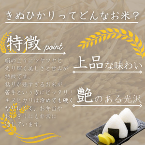 産地直送 米 こめ ご飯 ごはん  / 和歌山県産 キヌヒカリ 10kg(2024年産) 【sml100B】