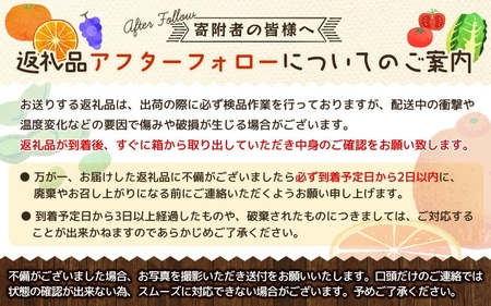 【12月発送】みかん 年内発送【家庭用】こだわりの有田みかん 約4kg＋250g(傷み補償分) ※サイズ混合※北海道・沖縄・離島配送不可 ＼光センサー選別／ 【農家直送】 有機質肥料100% みかん ミカン 有田みかん 温州みかん 柑橘 有田 和歌山 【nuk148-2C】