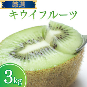 <2025年11月より発送>厳選 キウイ2.5kg+250g(傷み補償分)【扁平果】【ikd704B】