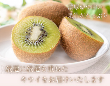 <2025年11月より発送>厳選 キウイ2.5kg+250g(傷み補償分)【扁平果】【ikd704B】