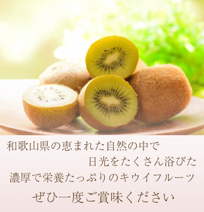 <2025年11月より発送>厳選 キウイ2.5kg+250g(傷み補償分)【扁平果】【ikd704B】