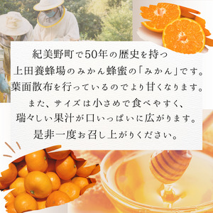 【ご家庭用】数量限定 和歌山県産 みかん蜂蜜養蜂家さんが作ったみかん。S,SSサイズ混合 4.8kg 【2024年11月下旬～12月末までに順次発送】/みかん ミカン 温州みかん 紀美野町 和歌山 甘い 小さい 小粒 数量限定 【twn018】