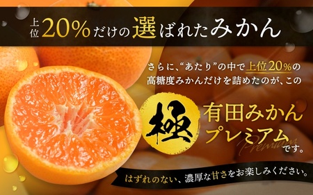 みかん 極 有田みかんプレミアム 約10kg【光センサー高糖度選別】【nuk156C】