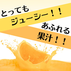 オレンジ 清見オレンジ  5kg 【S～３Lサイズ混合】【ふるなびWEEK対象】【agy020A-week】