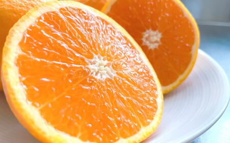 【濃厚】有田産清見オレンジ約5kg（サイズおまかせ 青秀以上）※2025年2月中旬～2025年3月中旬頃発送（日付指定不可） /果物 くだもの フルーツ 蜜柑 みかん【tec958】