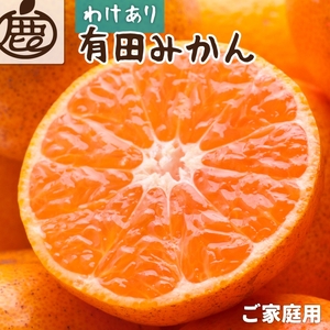 家庭用　完熟有田みかん5kg+150g（傷み補償分）【わけあり・訳あり】【光センサー選別】【ikd007B】