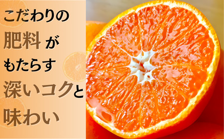 みかん ミカン 柑橘 和歌山県 有機 手選別 / あま～い！ カツオの有機肥料が味の決め手！ 「きみの完熟ミカン」 約2kg(15~25個程度) サイズ混合 2S~M ご家庭用(秀優混合)【kmf010】