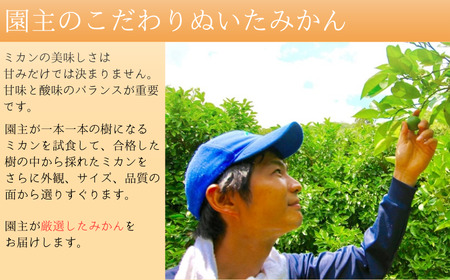 みかん ミカン 柑橘 和歌山県 有機 手選別 / あま～い！ カツオの有機肥料が味の決め手！ 「きみの完熟ミカン」 約2kg(15~25個程度) サイズ混合 2S~M ご家庭用(秀優混合)【kmf010】