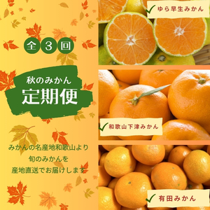 【3か月定期便】みかんの名産地和歌山発！秋のみかん定期便♪ゆら早生みかん・下津みかん・有田みかん【tkb362】