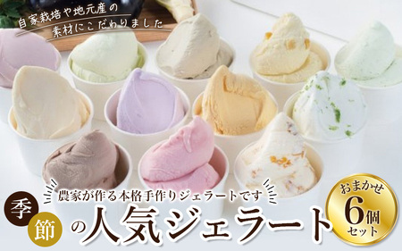 ☆レビューキャンペーン開催中☆【キミノーカ選りすぐり】ジェラート6個セット 【1ヶ月以内に発送】 / ジェラート アイス アイスクリーム キミノーカ スイーツ 大人気 牛乳 ギフト 夏 デザート 子供 バラエティセット おやつ ご褒美 定番 季節の 野菜 と 果物 使用 送料無料 和歌山【kmk003】 