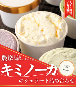 ☆レビューキャンペーン開催中☆【キミノーカ選りすぐり】ジェラート6個セット 【1ヶ月以内に発送】 / ジェラート アイス アイスクリーム キミノーカ スイーツ 大人気 牛乳 ギフト 夏 デザート 子供 バラエティセット おやつ ご褒美 定番 季節の 野菜 と 果物 使用 送料無料 和歌山【kmk003】 