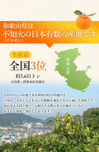 ＜先行予約＞家庭用 不知火 1.5kg+45g（傷み補償分）【デコポンと同品種・人気の春みかん】【訳あり】＜2月より発送＞ ※北海道・沖縄・離島への配送不可 フルーツ 果物 くだもの 柑橘 和歌山【ikd161A】 