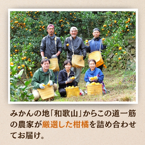 厳選 柑橘詰合せ1kg+250g（傷み補償分）みかん【ikd183B】