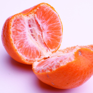 【先行予約】家庭用ポンカン1kg+250g(傷み補償分)<1月より発送>【ikd190A】