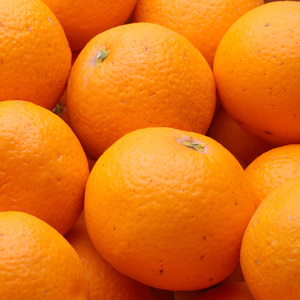 <2月より発送>厳選 清見1kg+250g(傷み補償分)【ikd196B】