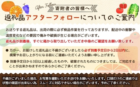 blue 和歌山県有田産 小傷不知火 和歌山県の不知火で産地直送の商品｜食べチョク｜産地直送(産直