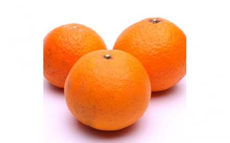 厳選 清見2.5kg+250g(傷み補償分)【光センサー食頃出荷】【樹上完熟きよみオレンジ・清見タンゴール・清美】 ※2026年2月~6月中旬ごろに順次発送 ※北海道・沖縄・離島への配送不可【ikd165B】