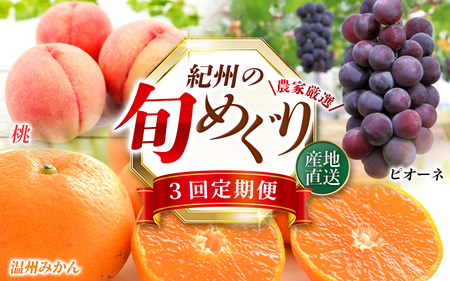 【定期便全3回】産直・和歌山フルーツ定期便（桃・ピオーネ・有田みかん） 【tkb415】