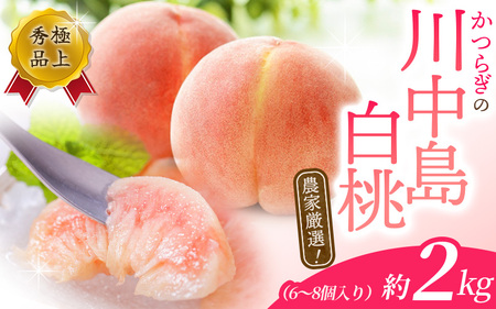 【予約受付】桃の王様【予約受付】こだわり農家厳選 川中島白桃 和歌山産の桃  約2kg（6個~9個） 2026年7月末頃～2026年8月末頃に順次発送予定（お届け日指定不可）/ 桃 もも 川中島 白桃 フルーツ 果物 くだもの 【kgr011A】