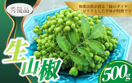 【先行予約】ぶどう生山椒 500g【2026年5月中に順次発送予定】＜味好農園＞/ 山椒 さんしょう 生山椒 生さんしょう 調味料 スパイス 香辛料 山椒の実 山椒の実生 実【agy032】