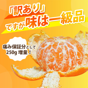 みかん 家庭用有田みかん 1kg+250g 11月より発送(完熟)サイズ混合(2S～2L)【ikd210】