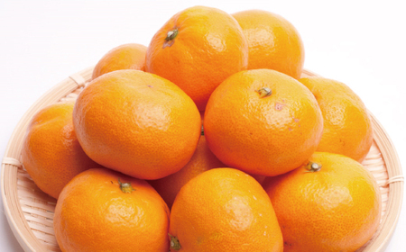 【先行予約】プレミアム有田みかん1kg+250g（傷み補償分）11月より発送(完熟)【ikd214】