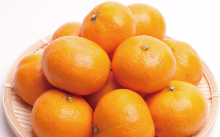 【先行予約】プレミアム有田みかん10kg+250g（傷み補償分）11月より発送(完熟)【ikd215】