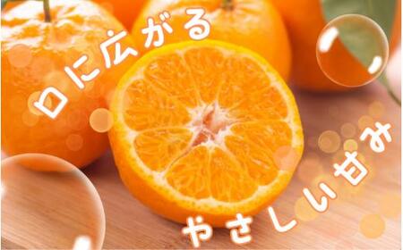秀品 ポンカン 2kg ※箱込み 【S~2Lのサイズおまかせ】【2026年1月下旬から2月中旬頃に順次発送】<味好農園>【agy027】