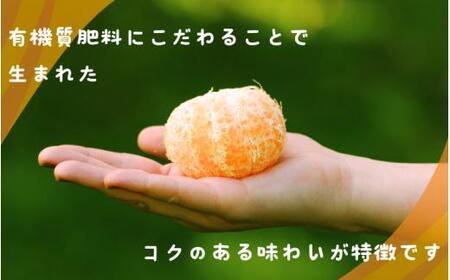 秀品 ポンカン 2kg ※箱込み 【S~2Lのサイズおまかせ】【2026年1月下旬から2月中旬頃に順次発送】<味好農園>【agy027】