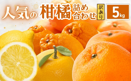 ＜1月より発送＞家庭用 柑橘詰合せ5kg+250g（傷み補償分）【訳あり・わけあり】【有田の春みかん詰め合わせ・フルーツ詰め合せ・オレンジつめあわせ】【光センサー選別】【ikd208A】