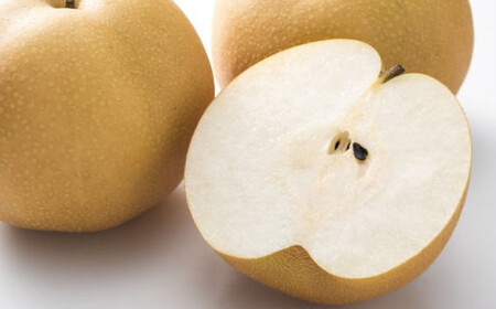 [数量限定] 和歌山県産の梨約2kg(品種おまかせ)【2026年度発送】【tec925C】