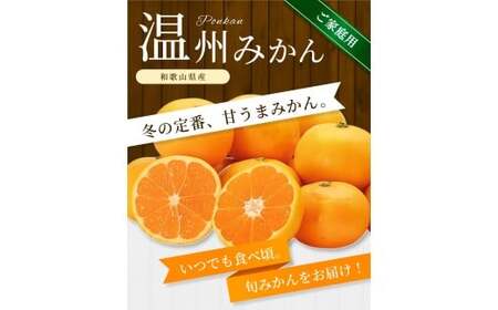 【ご家庭用】手選別 温州みかん 約1.5kg 和歌山県産 2S~2Lサイズ混合※2025年11月上旬~2026年2月中旬ごろに順次発送【mrmt006】