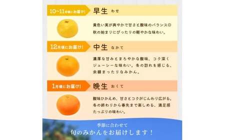 【ご家庭用】手選別 温州みかん 約6kg 和歌山県産 2S~2Lサイズ混合※2025年11月上旬～2026年2月中旬ごろに順次発送【mrmt030】