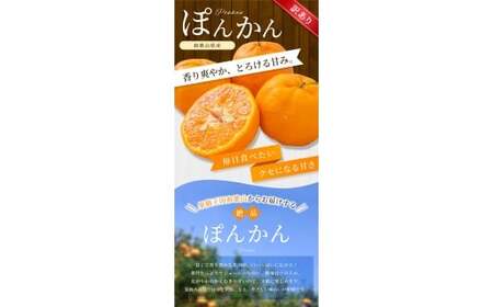 【訳あり】手選別 ぽんかん 約2kg 和歌山県産 2S~2Lサイズ混合※2026年1月上旬~2月上旬頃に順次発送【mrmt013】